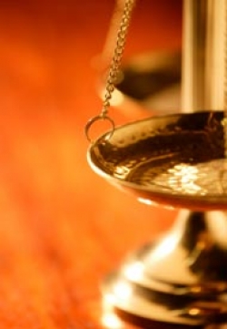 Your Rights as a Survivor photo